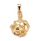 Ion Plating(IP) 304 Stainless Steel Pendants, Textured, Constellation/Zodiac Sign, Aquarius, 36x26x5.3mm, Hole: 9.5x5mm