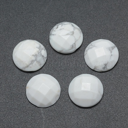 Кабошоны из натурального говлита G-P393-P04-14.5mm-1
