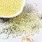 Transparent Colours Glass Seed Beads, Rondelle, Champagne Yellow, 6/0, 4x3mm, Hole: 1.4mm, about 5700pcs/pound