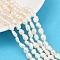 Natural Cultured Freshwater Pearl Beads Strands, Two Sides Polished, Grade 2A, Antique White, 6~7mm, Hole: 0.6mm, about 44~45pcs/strand, 13.39''~13.58''(34~34.5cm)