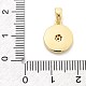 Подвески из латуни с микропаве из циркония KK-M303-01G-03-3