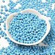 Выпечка краска стеклянные бусины SEED-B001-02A-12-2