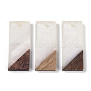 Подвески из смолы и дерева WOOD-F015-09E