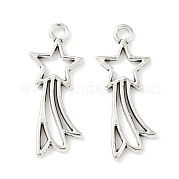 Подвески из сплава в тибетском стиле FIND-B050-17AS
