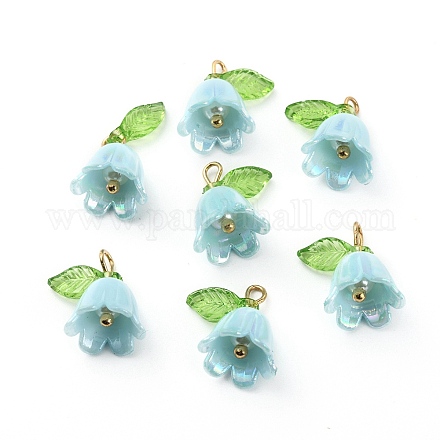 Подвески из непрозрачной смолы CRES-CJC0009-05G-03-1