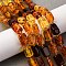Gradient Color Natural Amber Beads Strands, Rectangle, with Seed Beads, 10~12x6~8x6.5~8mm, Hole: 0.5mm, about 31pcs/strand, 14.96''(38cm)
