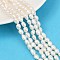 Natural Cultured Freshwater Pearl Beads Strands, Two Sides Polished, Grade 4A, Dark Salmon, 5~6mm, Hole: 0.6mm, about 45~46pcs/strand, 13.23~13.50''(33.6~34.3cm)