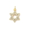 Brass Micro Pave Clear Cubic Zirconia Pendants, Star of David, Lead Free & Cadmium Free, Long-Lasting Plated, Rack Plating, with Jump Ring, Real 18K Gold Plated, 17x12.5x2mm, Hole: 3.2mm