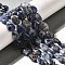 Natural Blue Spot Jasper Beads Strands, Teardrop, 13.5~14x10~10.5x5mm, Hole: 1mm, about 27~28pcs/strand, 37.3~38.3cm