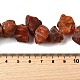 Природного сердолика нитей бисера G-S386-B06-5