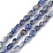 Natural Blue Spot Jasper Beads Strands, Chip, 6~10x5~7x5~7mm, Hole: 0.9mm, about 56~59pcs/strand, 15.35''(39cm)