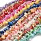 Natural Trochid Shell/Trochus Shell Beads Strands, Dyed, Nuggets, Mixed Color, 5~22x7~15x3~8mm, Hole: 1.2mm, about 65~70pcs/strand, 14.69~15.35''(37.3~39cm)
