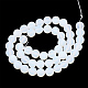 Opalite бисер пряди G-T106-337-3