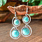 Bohemian Style Alloy Acrylic Dangle Earrings, Antique Silver, Flat Round, 70x20mm