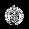 Non-Tarnish 201 Stainless Steel Pendants, Laser Engraved Pattern, Flat Round with Constellation, Gemini, 33x30x1mm, Hole: 2mm