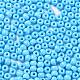 Выпечка краска стеклянные бусины SEED-H002-I-B504-3