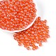 Прозрачное стекло Бисер SEED-N007-33B-03-1