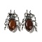 Dual-use Items Alloy Brooch, with Natural Carnelian, Spider, 49.5x35.5x15~16mm, Hole: 4x2.5mm