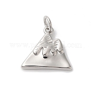 Подвески из горной латуни с покрытием стойки KK-Z056-07P
