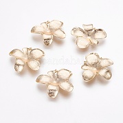 Сеттинги для кулона (стразов) из латуни  KK-F765-07G