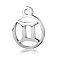 Non-Tarnish 201 Stainless Steel Charms, Flat Round with Constellation, Stainless Steel Color, Gemini, 13.4x10.8x1mm, Hole: 1.5mm