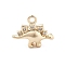 Brass Micro Pave Cubic Zirconia Pendants, Animals Charms, Real 14K Gold Plated, Dragon, 10.5x13x4.5mm, Hole: 1.2mm