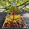 Resin Display Decoration, with Natural Tiger Eye, for Home Decoration, Pyramid, 60x60x60mm