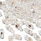Luminous Epoxy Resin Pendants, Wishing Bottle, with Shell, Glow in the Dark, Clear, 20~24.5x10~10.5mm, Hole: 2mm