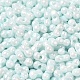 Непрозрачные цвета блестящие стеклянные бусины SEED-B001-01A-02-3