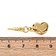 Застежки латунные коробки KK-P291-49G-4
