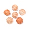 Synthetic Coral Carved Beads, Dyed, Spiral Shell shape, Light Salmon, 21x14.5mm, Hole: 1.2mm