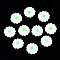 Natural Freshwater Shell Beads, with Enamel, Flower, Pale Green, 12~13x3~4mm, Hole: 0.9mm