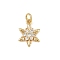 Brass Micro Pave Cubic Zirconia Charms, with Jump Ring, Golden, Snowflake, 15x11.5x3mm