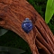 Natural Sodalite Display Decorations, Home Decorations, Strawberry, 26x20mm