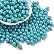 Выпечка краска стеклянные бусины SEED-H003-02L