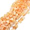 Grade A Natural Citrine Beads Strands, Waterdrop-Shaped Chip, 10~21x8~13x2.5~6mm, Hole: 1mm, about 34~38pcs/strand, 15.75''(40cm)