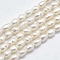 Natural Cultured Freshwater Pearl Beads Strands, Oval, Beige, 3.5~6x3~4.5mm, Hole: 0.8mm, about 68~70pcs/strand, 13.78~14.17 inch(35~36cm)