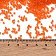Стеклянные бусины прозрачных цветов SEED-S042-11B-09-4