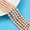 Natural Cultured Freshwater Pearl Beads Strands, Two Sides Polished, Grade 4A++, PeachPuff, 7~8mm, Hole: 0.6mm, about 36~37pcs/strand, 13.54~13.82''(34.4~35.1cm)