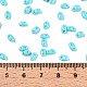 Выпечка краска стеклянные бусины SEED-T006-03H-4