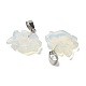 Opalite подвески G-B127-16P-06-2
