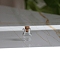 Glass Bottles Ornament, Micro Landscape Home Dollhouse Accessories, Pretending Prop Decorations, Clear, 1.5x1.9cm