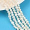 Natural Cultured Freshwater Pearl Beads Strands, Two Sides Polished, Grade 3A, Seashell Color, 5~6mm, Hole: 0.7mm, about 63pcs/strand, 13.46~13.66''(34.2~34.7cm)