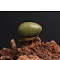 Natural Xiuyan Jade Egg Figurines Statues for Home Office Desktop Decoration, 30x20mm