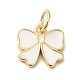 Подвески из латуни с покрытием из эмали KK-B092-13G-03-1