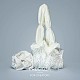 Preciosa® maxima crystal без горячей фиксации плоские камни Y-PRC-NSS8-00030-242-5