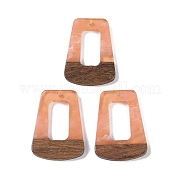 Подвески из смолы и дерева WOOD-F015-11B