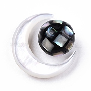 Натуральные натуральные белые бусины из ракушек SSHEL-N032-51-B03