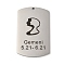 Non-Tarnish 304 Stainless Steel Pendants, Stainless Steel Color, Rectangle with Constellation Charm, Gemini, 43x26.5x1.5mm, Hole: 1.6mm