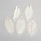 Electroplated Natural Leaf Big Pendants, with Iron Findings, Silver Plated, 50~80x20~35x1mm, Hole: 3x6mm